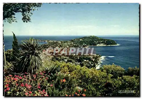 Cartes postales moderne Reflets de la Cote d'Azur Le Cap Ferrat vue panoramique