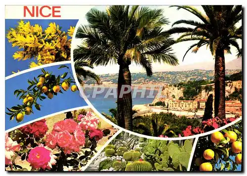 Cartes postales moderne Nice Cote d'Azur French Riviera vue pittoresque de la Baie des Anges