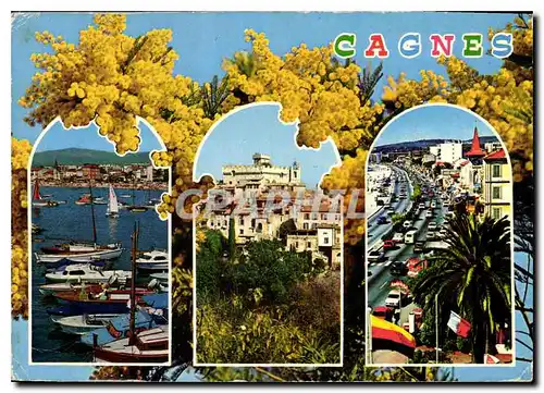 Cartes postales moderne Cote d'Azur French Riviera Cagnes sur Mer Alpes Maritimes