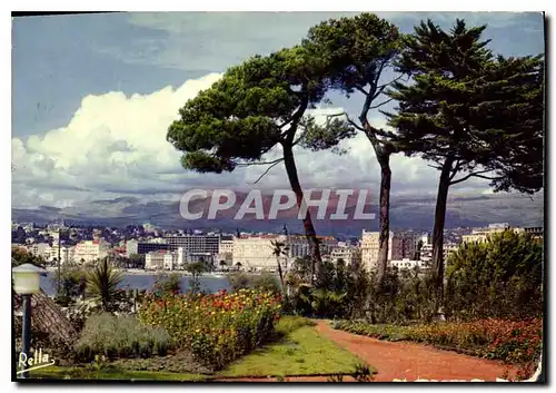 Cartes postales moderne La Cote d'Azur Cannes A M Les grands palaces de la Croisette vus du Marly