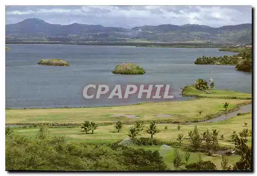 Cartes postales moderne Martinique Le Golf des Trois Ilets
