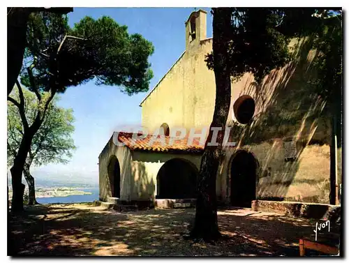 Cartes postales moderne Couleurs et lumiere de France la Cote d'Azur miracle de la nature Cap d'Antibes Alpes Maritimes