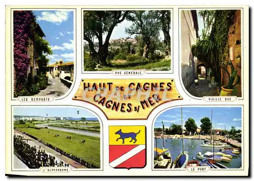 Cartes postales moderne Souvenir de la Cote d'Azur