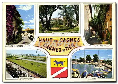 Cartes postales moderne Souvenir de la Cote d'Azur