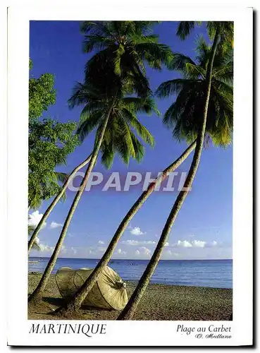 Cartes postales moderne La Martinique la Plage du Cour