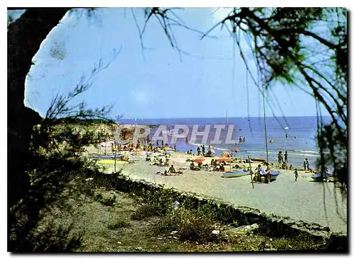 Moderne Karte Le Cap d'Agde la Plage du Mole