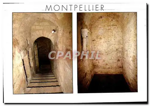 Cartes postales moderne Montpellier Herault Mikve Bain rituel juit du XIIIe siecle