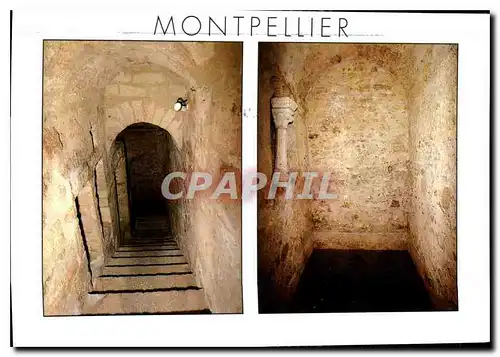 Cartes postales moderne Montpellier Herault Mikve Bain rituel juit du XIIIe siecle