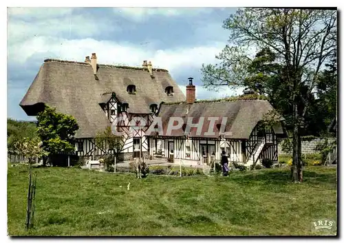 Cartes postales moderne La Luxurainte Normandie Maison normande au toit de chaume dependances de la reserve nationale de