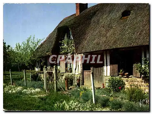 Cartes postales moderne Couleurs et lumiere de France la Luxuriante Normandie en Vallee d'Auge Maison normande au toit d