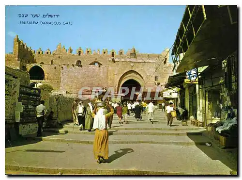 Cartes postales moderne Jerusalem Old city view to Damascus Gate