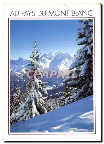 Cartes postales moderne Mont Blanc eternel