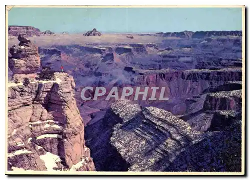 Moderne Karte Duck on the rock Grand Canyon National Park Arizona