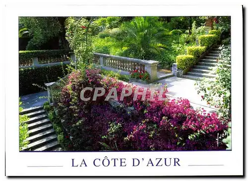 Cartes postales moderne Couleurs et lumiere de France Jardins de la Cote d'Azur