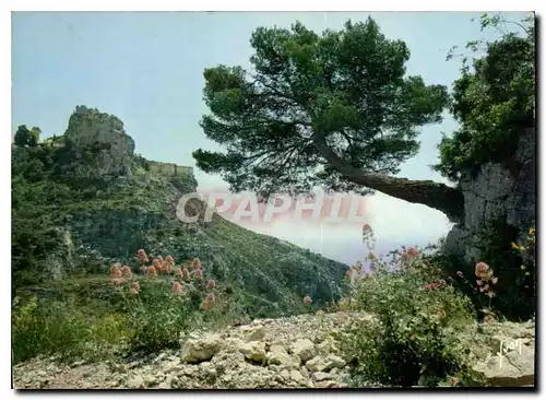 Cartes postales moderne Couleurs et lumiere de France La Cote d'Azur miracle de la nature Eze Alpes Maritimes le village