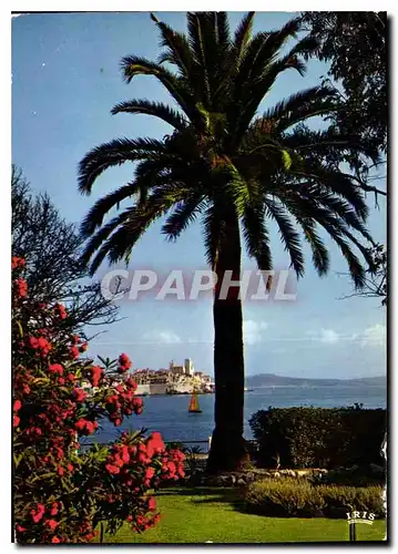 Moderne Karte Reflets de la Cote d'Azur Antibes A Mmes la vieille Cite dans ses Remparts