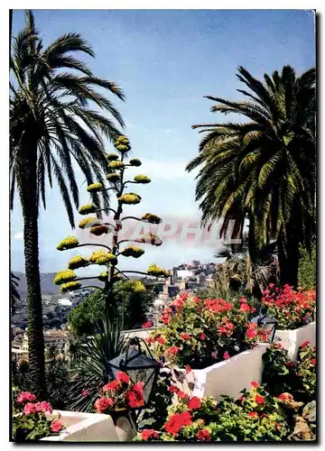 Cartes postales moderne Cote d'Azur Carrefour Mondial du Tourisme Fleurs et Lumieres sous le ciel de Grasse ville des Pa