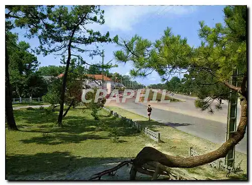 Moderne Karte Stella Plage Pas de Calais Les pelouses Boulevard Ed Labrasse