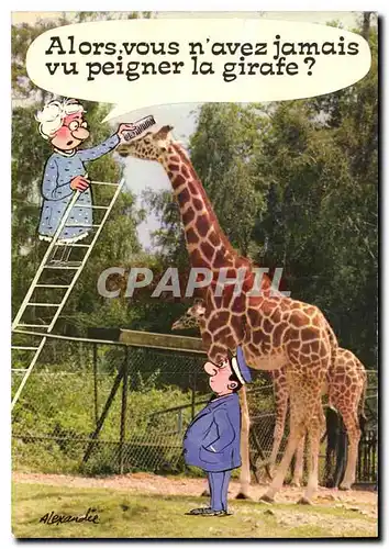 Cartes postales moderne Girafe