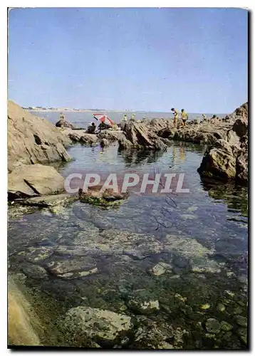 Cartes postales moderne Le Recou Argeles sur Mer les rochers au fond les tours d'Argeles