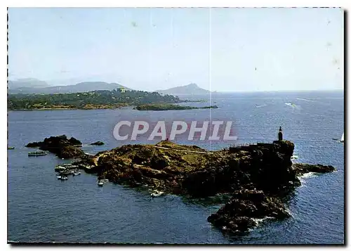 Cartes postales moderne Saint Raphael Var Le Lion de Mer