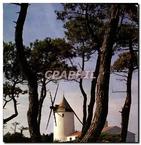 Moderne Karte Ile de Noirmoutier un des moulins de l'Ile