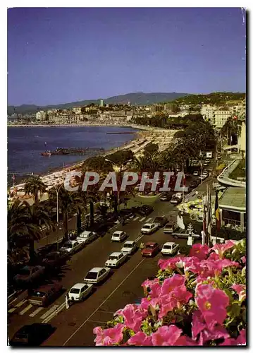 Moderne Karte Cannes la Promenade de la Croisette dans le fond le Suquet