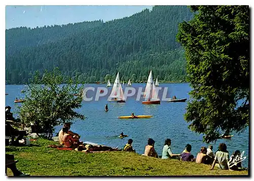 Cartes postales moderne Gerardmer Vosges Le Lac Bateaux