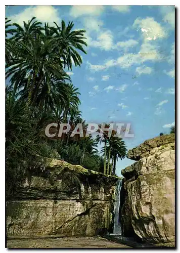 Cartes postales moderne Tamerza Oasis de montagne