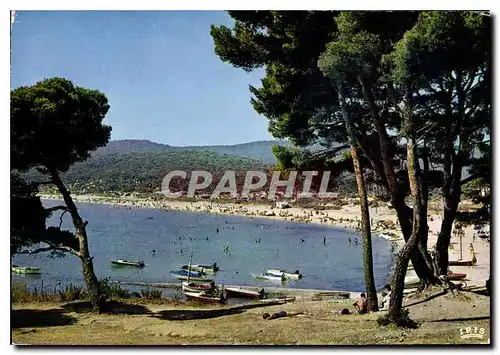 Cartes postales moderne La Cote d'Azur Environs du Lavandou Var Bormes les Mimosas