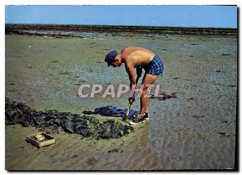 Cartes postales moderne Cote Atlantique Pecheur a la recherche des vers