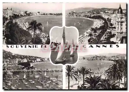 Cartes postales moderne La Cote d'Azur Cannes