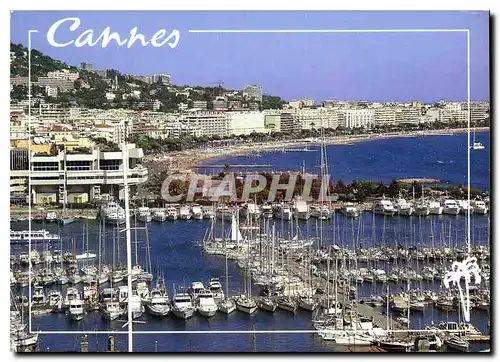 Moderne Karte La Cote d'Azur Inoubliable Cannes A M le Palais du Festival et la Croisette