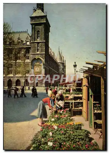 Cartes postales moderne Paris le Marche aux Fleurs