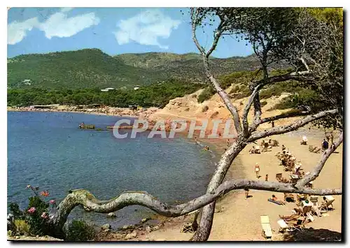 Moderne Karte Mallorca Baleares Espana Paguera Playas