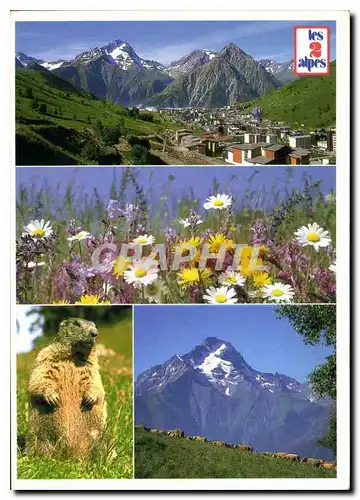 Cartes postales moderne Dauphine France Vue generale de la station la Muzelle Flore et Faune