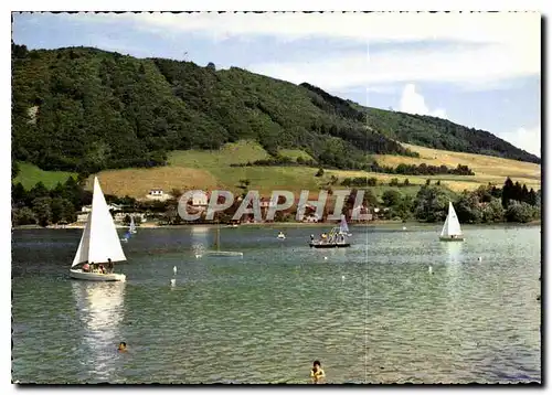 Cartes postales moderne Le Lac de Paladru Charavines Isere Voiliers sur le Lac