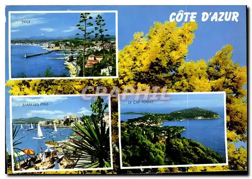 Cartes postales moderne Souvenir de la Cote d'Azur Nice Juan les Pins le Cap Ferrat