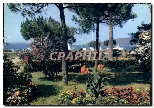 Cartes postales moderne Reflets de la Cote d'Azur Juan les Pins La Pinede du Casino