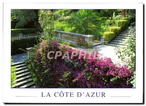 Cartes postales moderne Couleurs et Lumiere de France Jardins de la Cote d'Azur