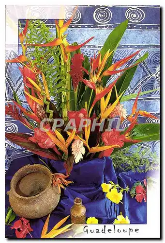 Cartes postales moderne Bouquet de fleurs exotique