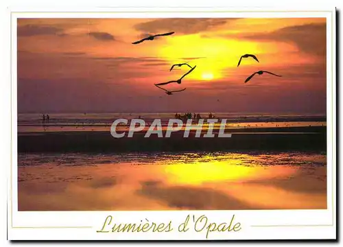 Moderne Karte la Cote d'Opale