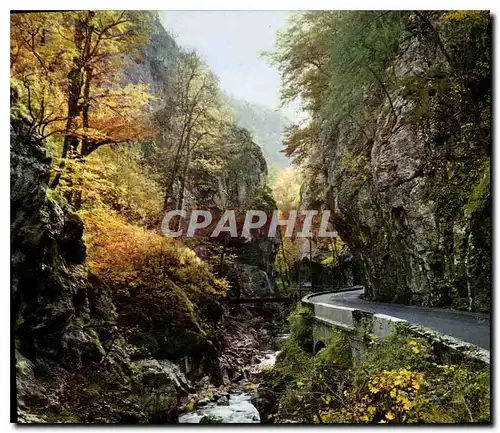 Cartes postales moderne En Chartreuse la route du Desert et le Guiers Mort