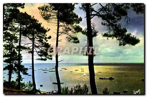 Cartes postales moderne Couleurs et lumiere de France Arcachon Gironde Crepuscule sur le Bassin d'Arcachon