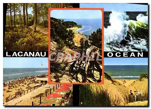 Cartes postales moderne Couleurs et lumiere de France Cote Aquitaine Lacanau Ocean Gironde route dans la Foret Effet de