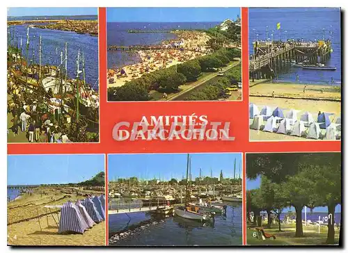 Cartes postales moderne Couleurs et lumiere de France Bassin d'Arcachon Arcachon Gironde le Port de Peche et de Plaisanc
