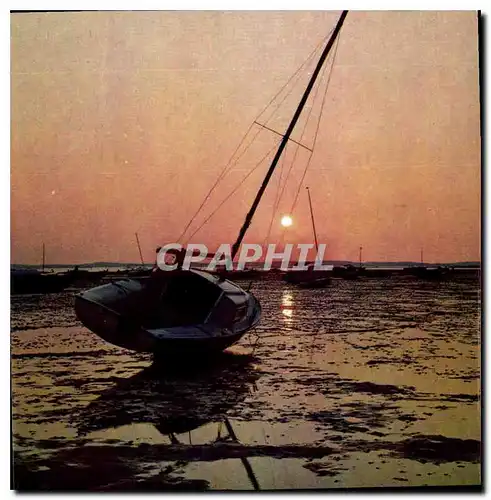 Cartes postales moderne Couleurs et lumiere de France Bassin d'Arcachon Gironde Coucher de soleil sur le Bassin a maree