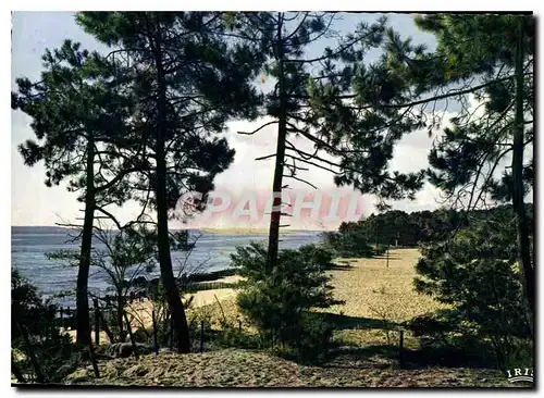 Moderne Karte Bassin d'Arcachon la Foret au fond la dune du Pilat