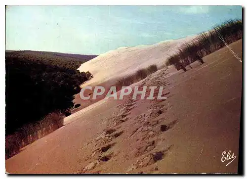 Cartes postales moderne Bassin d'Arcachon Gironde la Dune du Pyla et la Foret