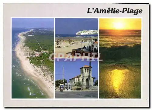 Cartes postales moderne Cote Aquitaine L'Amelie Plage Gironde